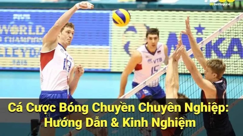 cá cược bóng chuyền