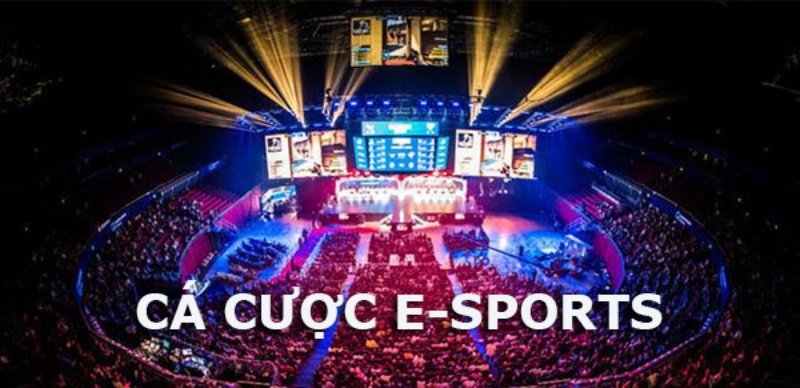 cá cược e-sports