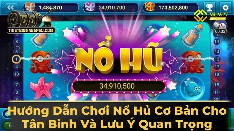 các loại nôt hũ phổ biến 